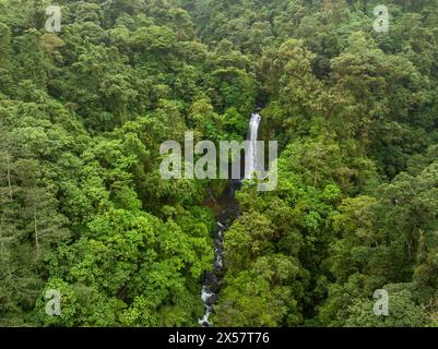 Aerial view, waterfall in the rainforest, Catarata de la Paz, La Paz Waterfall Gardens Nature Park, Alajuela Province, Costa Rica Stock Photo