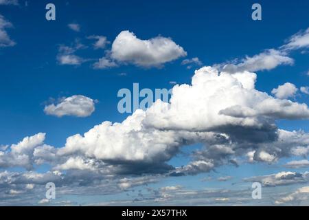 Large white cumulus clouds in front of blue sky, international Stock Photo