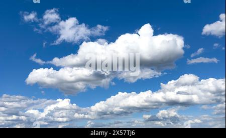 Large white cumulus clouds in front of blue sky, international Stock Photo