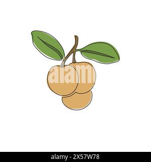 One continuous line drawing of whole healthy organic longan for orchard logo identity. Fresh fruitage concept for fruit garden icon. Modern single lin Stock Vector