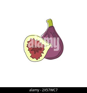 Single continuous line drawing whole sliced healthy organic figs for orchard logo identity. Fresh summer fruitage concept for fruit garden icon. Moder Stock Vector