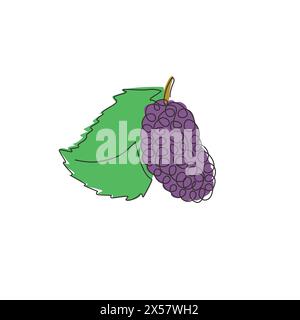 One single line drawing of whole healthy organic for orchard mulberry logo identity. Fresh berry fruitage concept for fruit garden icon. Modern contin Stock Vector