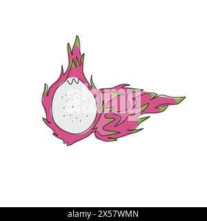One single line drawing of whole healthy organic dragon fruit for orchard logo identity. Fresh dragonfruit concept for fruit garden icon. Modern conti Stock Vector