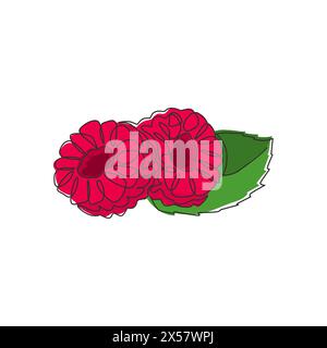 One single line drawing of half sliced healthy organic raspberry for orchard logo identity. Fresh berries fruitage concept for fruit garden icon. Mode Stock Vector