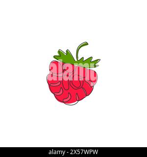 One continuous line drawing of whole healthy organic raspberry for orchard logo identity. Fresh berry fruitage concept for fruit garden icon. Modern s Stock Vector