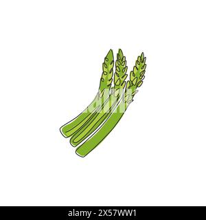 One continuous line drawing of whole healthy organic asparagus for garden logo identity. Fresh sparrow grass concept for vegetable icon. Modern single Stock Vector