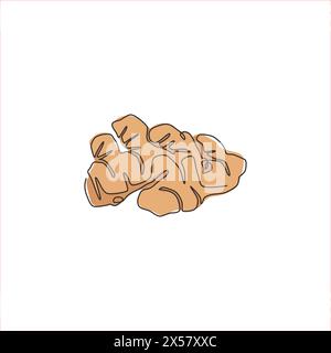 One single line drawing healthy organic ginger for farm logo identity. Fresh flowering plant rhizome concept herbaceous perennial icon. Modern continu Stock Vector