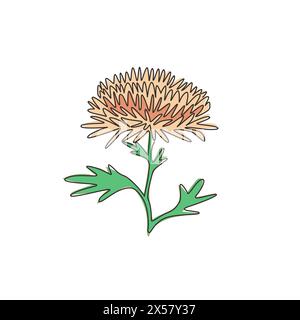 Single continuous line drawing beauty fresh chrysanthemum for garden logo. Printable decorative chrysanth flower concept for home wall decor art poste Stock Vector