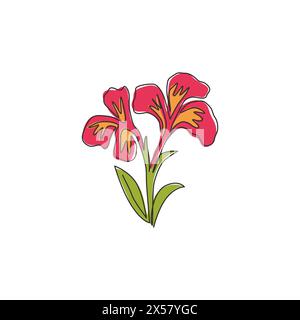 Single continuous line drawing of beauty fresh canna for garden logo. Printable poster decorative canna lily flower concept for wedding invitation car Stock Vector