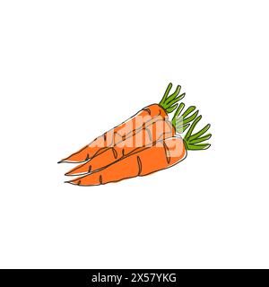 One continuous line drawing whole healthy organic carrots group for farm logo identity. Fresh biennial plant concept for root vegetable icon. Modern s Stock Vector