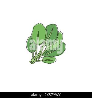 One single line drawing whole healthy organic green spinach leaves for farm logo identity. Fresh plant concept for edible vegetable icon. Modern conti Stock Vector