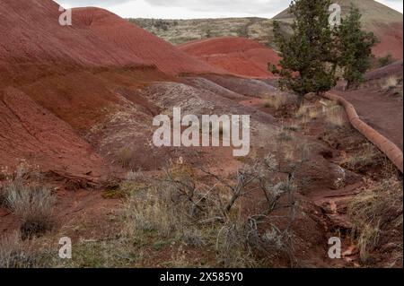 The Painted Cove trail in the John Day Fossil Beds National Monument Stock Photo