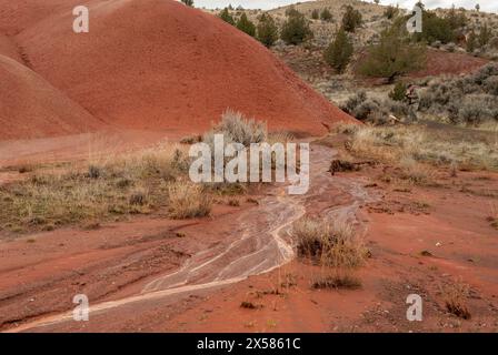 A photographer on the Painted Cove trail in the John Day Fossil Beds National Monument Stock Photo