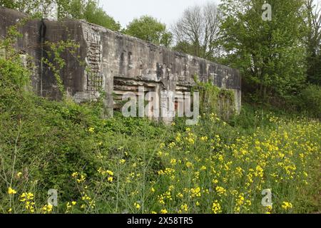 Abandoned artillery casemate at the 2nd World War defensive Fort Eben-Emael, now a museum, Bassenge, Belgium. Stock Photo