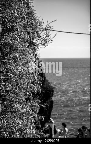 Magic of the Cinque Terre. Timeless images. Riomaggiore and its bright colours. Stock Photo