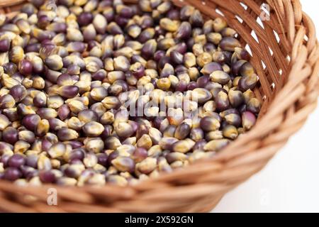 Organic dried blue corn kernels in rattan wooden bowl close up. Dry Mexican Hopi maize grains Stock Photo