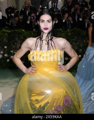 Amelia Gray attends The Metropolitan Museum of Art's Costume Institute