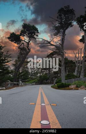 Scenic view of winding road, 17 Mile Drive, California Stock Photo