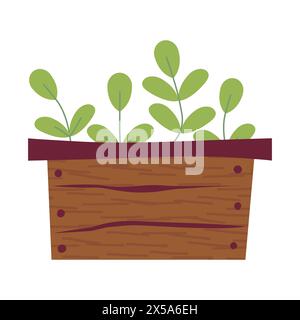Vector drawing of cute box with seedlings. Healthy grass in wooden box. Vector illustration. Gardening, plants. Colored illustration. Cartoon design f Stock Vector