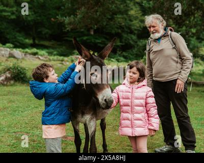 A heartwarming scene of family leisure with a bearded grandfather observing as his grandson and granddaughter interact with a gentle donkey in a lush Stock Photo