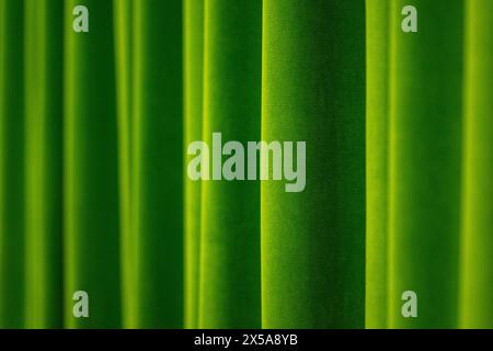 This image captures the luxurious texture of velvet curtains in a green hue, creating a soothing and elegant abstract background. Stock Photo
