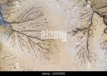 Close-up aerial view of dry, cracked soil forming intricate branching patterns, capturing the textures of the Utah desert. Stock Photo