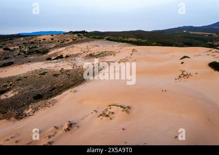 Expansive sand dunes in Sardinia, Italy, under a twilight sky with sparse greenery and distant figures highlighting the scale, Corsari Tower Stock Photo
