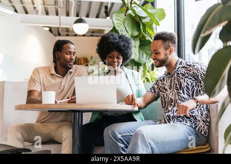 Three professional colleagues collaborate and share ideas on a project while working on a laptop in a sunlit coworking space, surrounded by indoor pla Stock Photo
