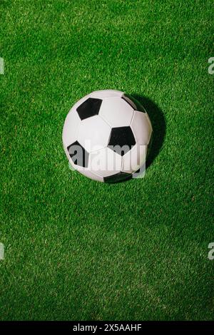Classic white and black soccer ball on a lush green field, basking in sunlight with a distinct shadow Stock Photo
