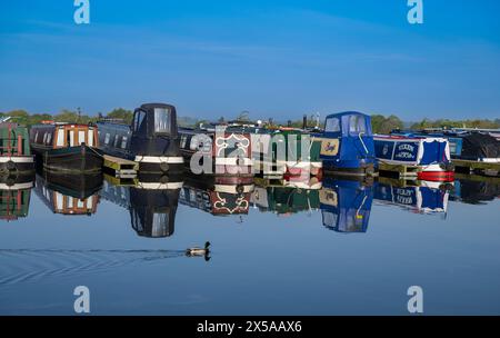 Dunchurch Pools Marina, Warwickshire, Oxford Canal – Summer morning  narrowboats in tranquil surroundings against a clear blue sky Stock Photo