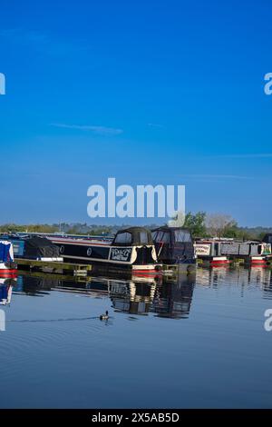 Dunchurch Pools Marina, Warwickshire, Oxford Canal – Summer morning  narrowboats in tranquil surroundings against a clear blue sky Stock Photo