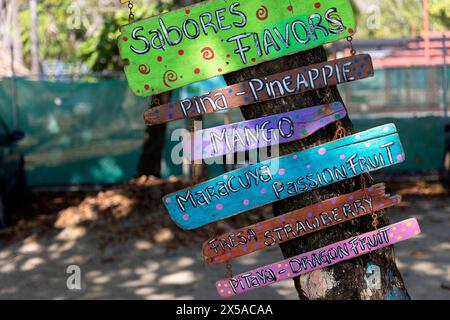 Handmade wooden signposts hanging on a tree on a beach, Costa Rica Stock Photo