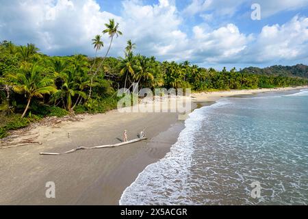 Woman tourist exploring Hermosa beach on Nicoya peninsula in Costa rica, standing on a log on a beautiful sandy beach surrounded with palm trees Stock Photo