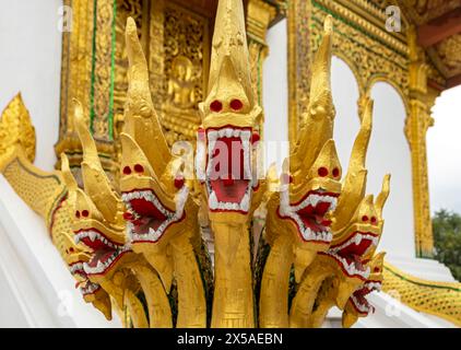 Naga at the steps of Wat Ho Pha Bang temple, Royal Palace, Luang Prabang, Laos Stock Photo