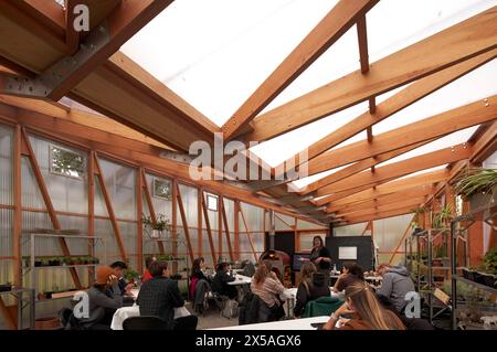 Classroom interior with timber ceiling frame. Cody Dock - The Growing Space, London, United Kingdom. Architect: Live Design Studio, 2023. Stock Photo