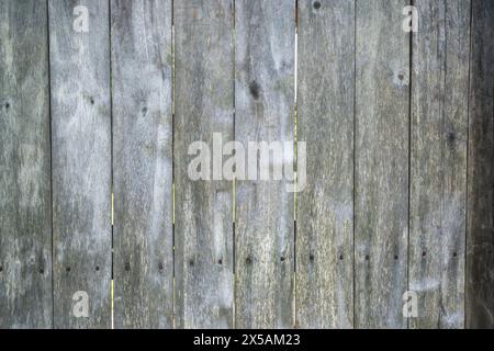 Old wood texture. Wooden surface background. Grunge wood texture Stock Photo