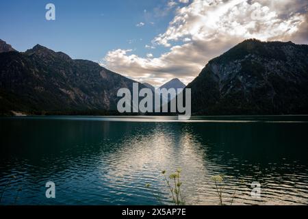 lake, mountains, mountain, reflection, forest, hill, plansee, tyrol, waves, water, landscape, nature Stock Photo