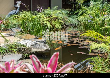 Residential koi pond garden in Lake Worth (Palm Beach County), Florida. (USA) Stock Photo