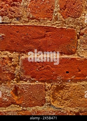 MANCHESTER. GEATER MANCHESTER. ENGLAND. 04-28-24. Ancoats Coffee, a cleaned brick wall in the coffee shop premises in a redeveloped former cotton mill. Stock Photo