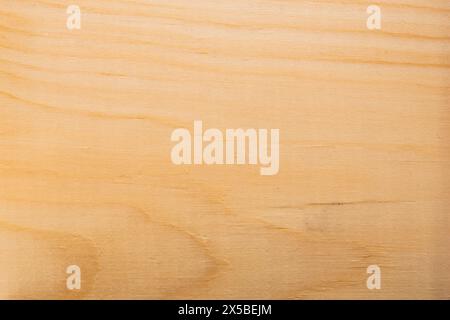 White tan wood texture background with natural patterns. Abstract backdrop Stock Photo