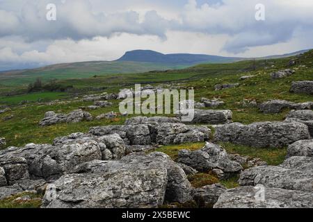 A limestone pavement with Penyghent in the distance, Yorkshire Dales, England, UK Stock Photo