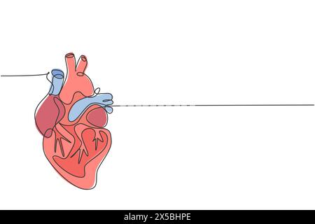 One continuous line drawing of anatomical human heart organ. Medical internal anatomy concept. Modern single line draw trendy design vector illustrati Stock Vector