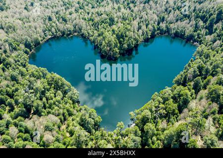 Heart-shaped lake Laguna Corazon, near Liquine, aerial view, Chile Stock Photo