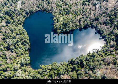 Heart-shaped lake Laguna Corazon, near Liquine, aerial view, Chile Stock Photo