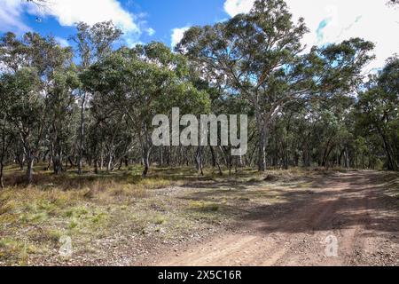 Turon National Park, National Parks and Wildlife sign giving campsite ...