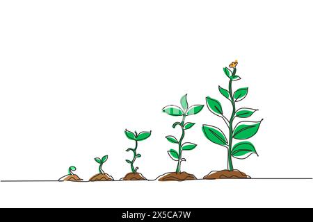 Continuous one line drawing infographic of planting tree. Seeds sprout in ground. Seedling gardening plant. Sprouts, plants, trees growing icons. Sing Stock Vector