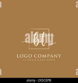 BT Initial handwriting logo with rectangle Stock Vector