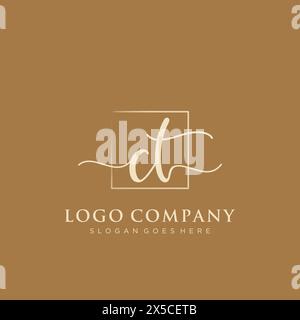 CT Initial handwriting logo with rectangle Stock Vector