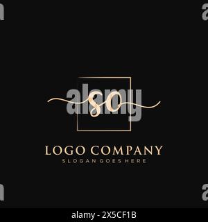 SO Initial handwriting logo with rectangle Stock Vector