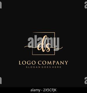 DS Initial handwriting logo with rectangle Stock Vector